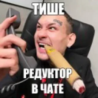 Video sticker 🌟 Укрытие Аквариума