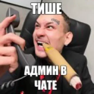 Telegram sticker 🌟 Укрытие Аквариума