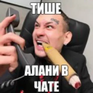 Telegram sticker 🌟 Укрытие Аквариума