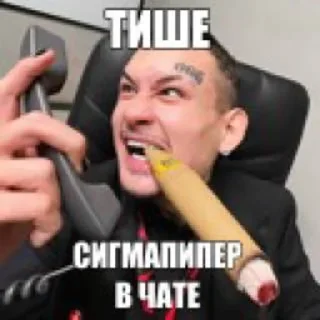 Telegram sticker 🌟 Укрытие Аквариума