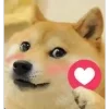 Video sticker ❤️ Smoke :: @fStikBot