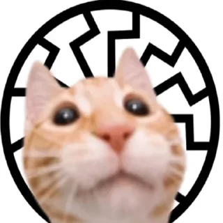 Sticker ☀️ 🙋🏼‍♂️ Bazed Kittys 🐈