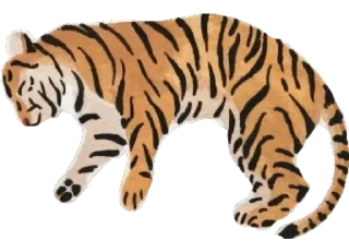 Video sticker 🐅 tsugau