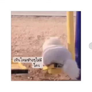 Video sticker 🤔 morning