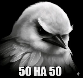 Video sticker 🌟 Вряд-ли :: @fStikBot