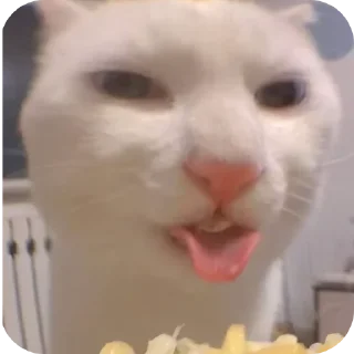 Telegram sticker 🍲 Прикольни стикерпак :: @fStikBot