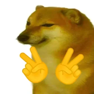 Telegram sticker 🏵 WHOEVER READ TS EXEPT OWNER IS GAY
