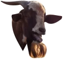 Video sticker 😋 GoatRulez