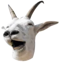 Video sticker 😂 GoatRulez