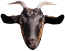 Telegram sticker 😈 GoatRulez