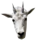 Telegram sticker 😰 GoatRulez