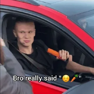 Video sticker ☺️ Shitball
