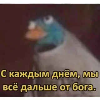 Telegram stiker 🌚 Больше стиков тут: @archstick