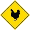 Sticker 🐔 NeЗнаки by @aononym for @stickerstgrm