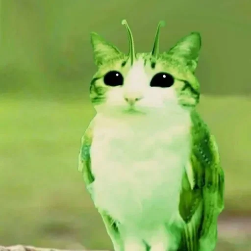 Telegram sticker 🐱 Yoabsin ratero :: @fStikBot