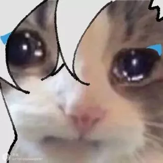 Telegram sticker 😭 wriolette @bezb1leta :: @fStikBot