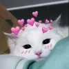 Video sticker 💜 𝑴𝒂𝒓𝒊�...