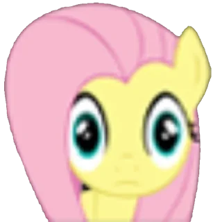 Video sticker 😳 коні