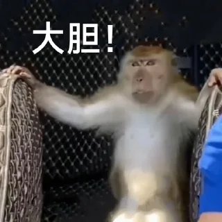 Video sticker 🌟 吗喽的命也是命🍌  @QQQQQQQQQ6699