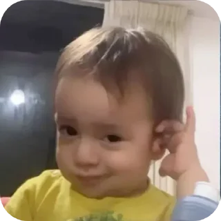 Video sticker 👤 BUB @sillyversee
