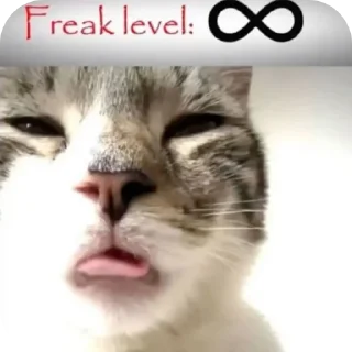Telegram sticker 🐱 freaky j's