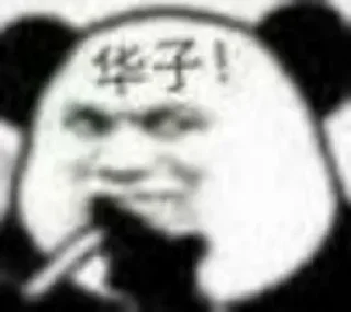 Video sticker 😃 dada娱乐城 @dada8