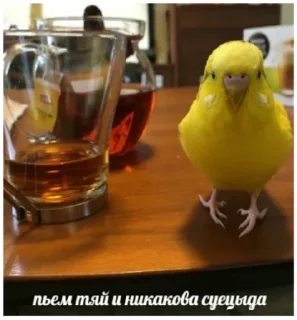 Telegram stiker 🙃 Favorite stickers by @fStikBot