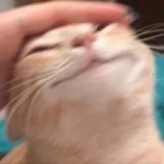 Telegram stiker 😊 Favorite stickers by @fStikBot