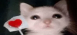 Video sticker ❤️ Больше стиков тут: @stikery4