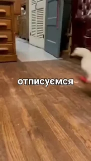 Telegram sticker 🤮 Гіфі :: @fStikBot
