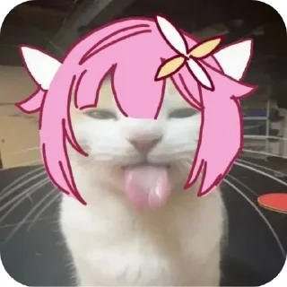 Телеграм стикер 👍 Idk