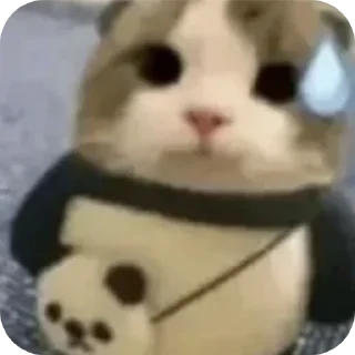 Телеграм стикер 👍 Idk