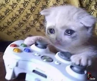 Sticker 🦄 Chó sủa meo meo layer 3