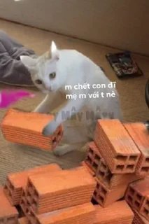 Telegram sticker 🦄 Chó sủa meo meo layer 3