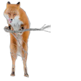 Telegram sticker 🧍‍♂️ FopsButNoBackground