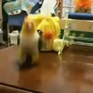 Video sticker 🌟 Hetero de Taubaté