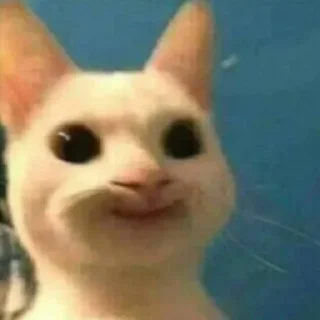 Telegram stiker 😸 خرة بيكم