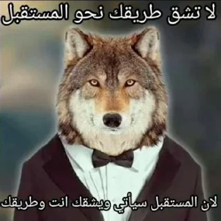 Video sticker 🐺 خرة بيكم