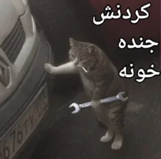 Telegram sticker 🥲 🤦🏻‍♀️🤦🏻‍♀️