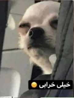 Sticker 😕 🤦🏻‍♀️🤦🏻‍♀️
