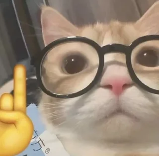 Telegram sticker ⭐️ @mhamedh5 cats