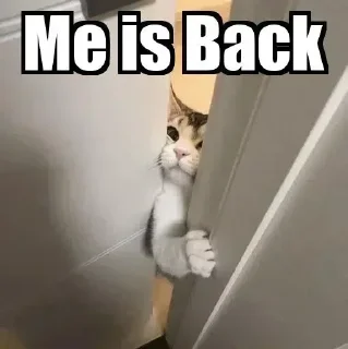 Telegram sticker 😊 blurr