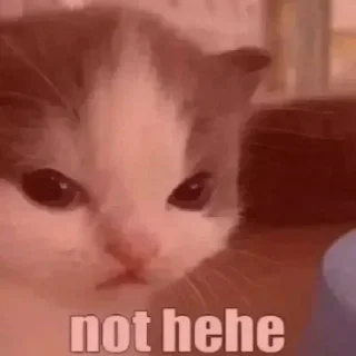 Telegram sticker 😡 blurr