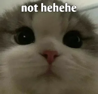 Telegram sticker 🌚 blurr