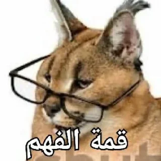 Telegram sticker 🤓 Lobnani