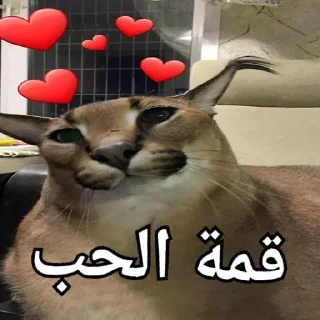 Video sticker ❤ Lobnani