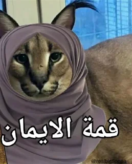 Video sticker 🧕 Lobnani