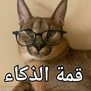 Telegram sticker 🤓 Lobnani