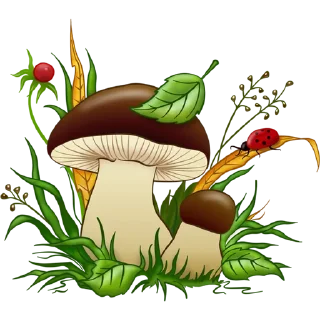 Video sticker 🍄 Mushrooms ਖੁੰਬਾਂ @PunjabiSticker
