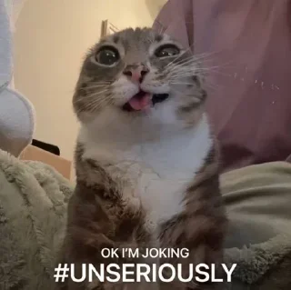 Telegram sticker 😝 Олины наклейки